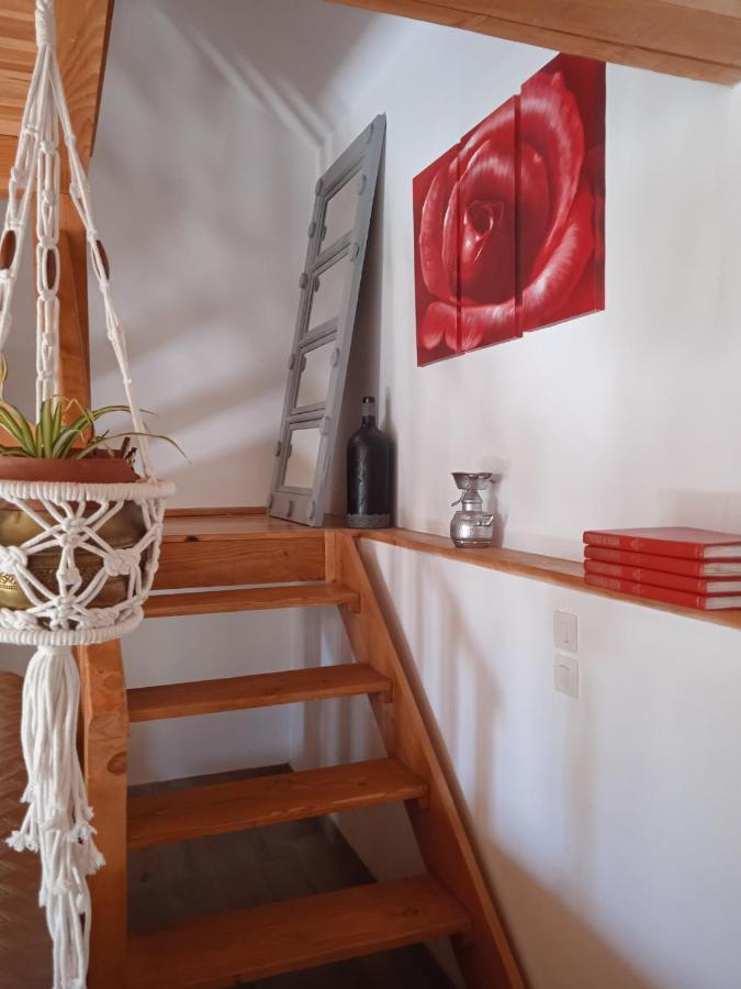 Charmante Petite Maison Bergerac Bagian luar foto